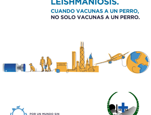 Por un mundo sin Leishmaniosis