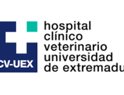 Internados en el HCV de la Universidad de Extremadura