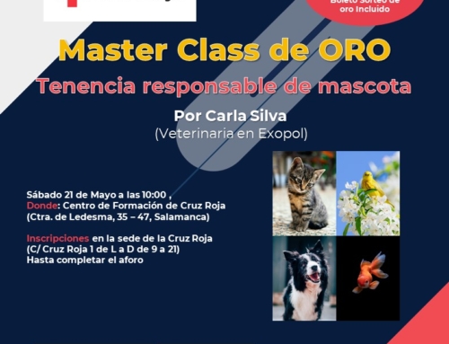 Ciclo MasterClass de Oro MASCOTAS (Cruz Roja)