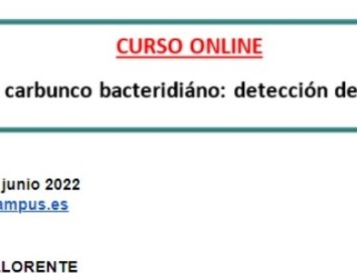 CURSO ONLINE: “Actualización en carbunco bacteridiáno: detección de casos y actuación”